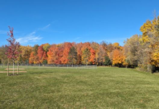 Ziegler Park景点图片