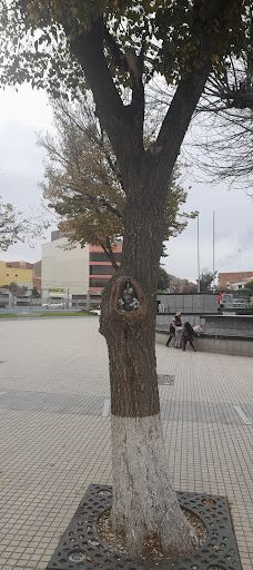 Plaza Sebastian Pagador-塞尔卡多省