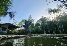 Balneário Patauateua km 29景点图片