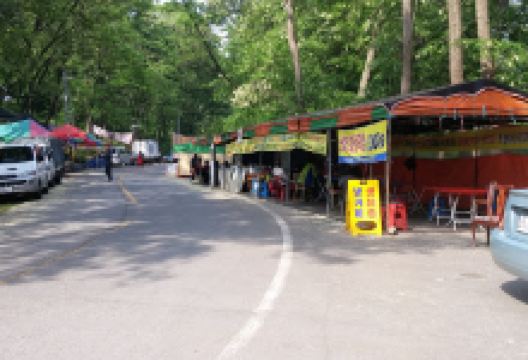백연사景点图片