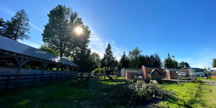 The Happy Herd Farm Sanctuary