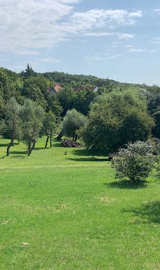 Szent Jakab forrás-瓦索伊