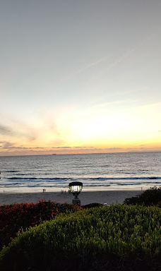 Salt Creek Beach-达纳点