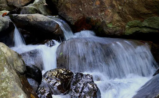 Gurugal Oya Natural Pool