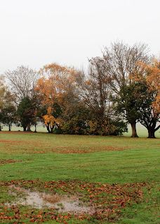 Hamilton Park-戈尔