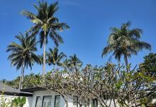 Patok Beach景点图片