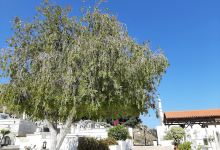 Saint Dimitrios Holy Orthodox Cemetery Church景点图片