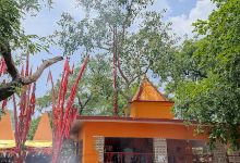 Paranu Baba Mandir景点图片
