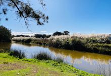 Careniup Reserve Lake景点图片