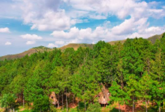 Eco Hotel Los Pinos Parque Agroecoturístico购物图片