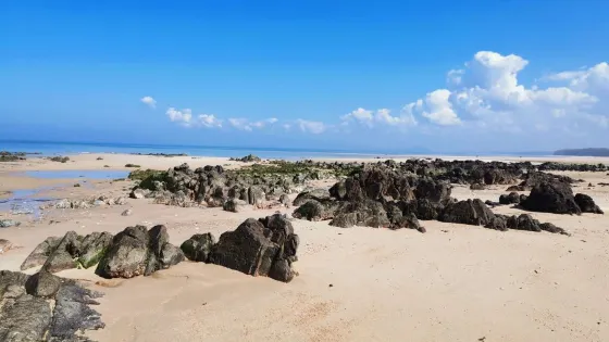 海塘銀灘