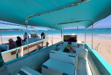 Cabo Pulmo EcoAdventures景点图片