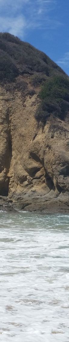 Salt Creek Beach-达纳点