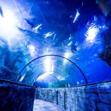 圣保罗湾城图片