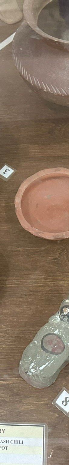 Bangladesh Folk Art & Crafts Foundation-索纳尔冈乌帕齐拉