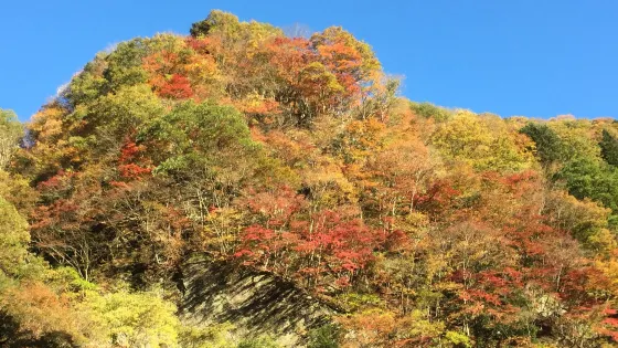 大血川渓谷