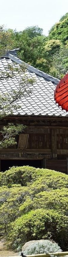 海蔵寺-镰仓市