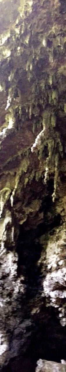 Grotte de Hortense-松树岛