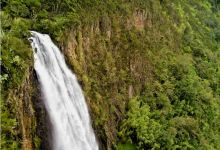 Kakamega forest景点图片