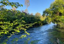 Tumut River景点图片