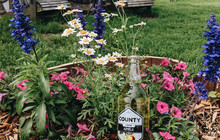 County Cider Company & Estate Winery餐厅图片