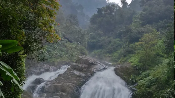 Aralam wildlife sanctuary