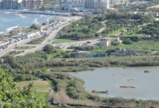 Għadira Nature Reserve景点图片