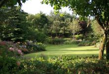 Ballyrobert Cottage Garden and Nursery购物图片