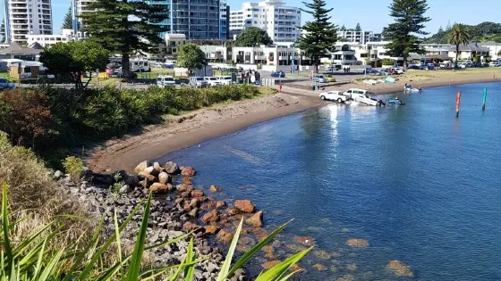Pilot Bay Beach