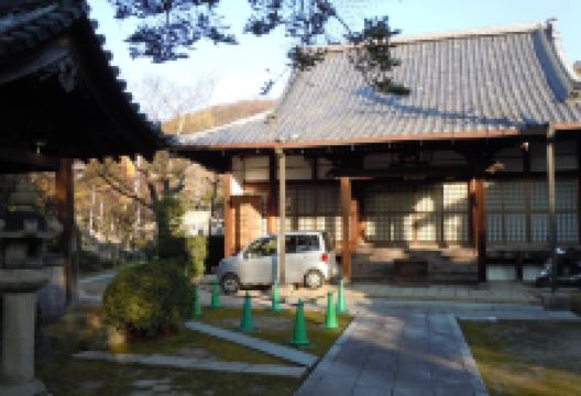 大念寺景点图片