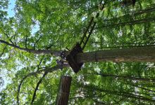 ACCRODER seul accrobranche au bord du lac景点图片