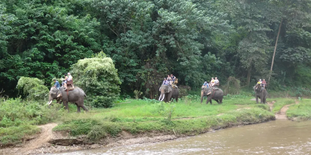 永安旅遊