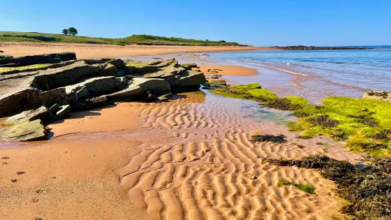 Kingsbarns Beach