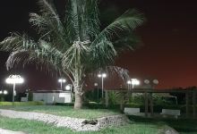 Al Fairouz Park景点图片