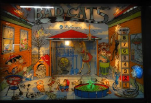 American Museum of the House Cat景点图片