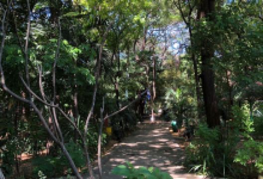 Arboretum Nacional景点图片