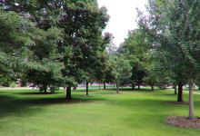 Ehmen Park Arboretum景点图片