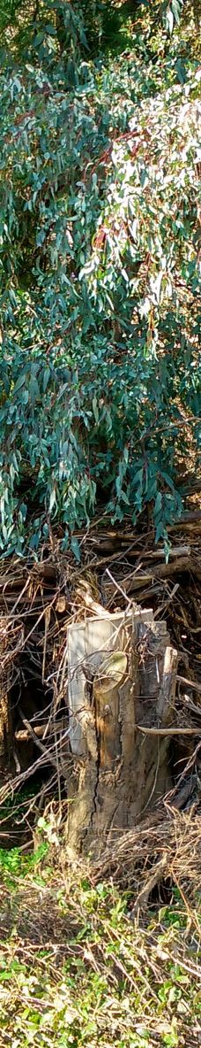 Embalse de Cabezas Rubias-圣巴尔瓦拉德卡萨