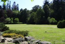 Arboretum Krtiny景点图片