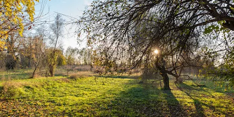 Casa di Goffredo Parise