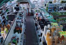 Plant Nursery, Gardens Obruśnik Sp. o.o.购物图片