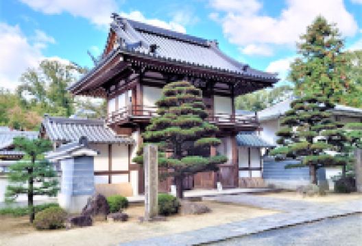 円福寺景点图片