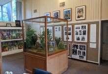 Birthplace Of Kermit The Frog Museum景点图片