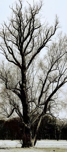 Spielplatz-瓦登伯格