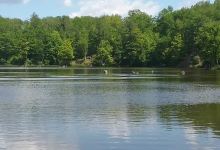 Smallwood Lake景点图片