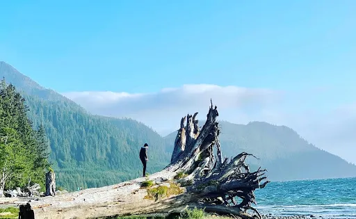 尼蒂納特湖