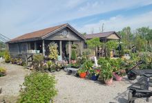 Plants Plus Nursery & Garden Center购物图片