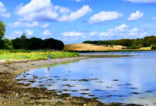 Studstrup Strandpark景点图片