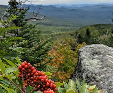 Cantilever Rock Trail