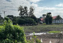 วัดเนินมะครึด อ.วัดโบสถ์ พิษณุโลก景点图片